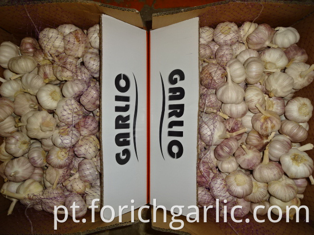 Fresh Garlic